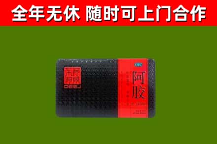 青山区回收阿胶